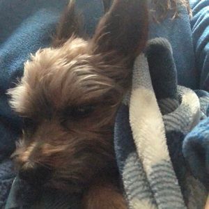 Meet your Posher, Robin